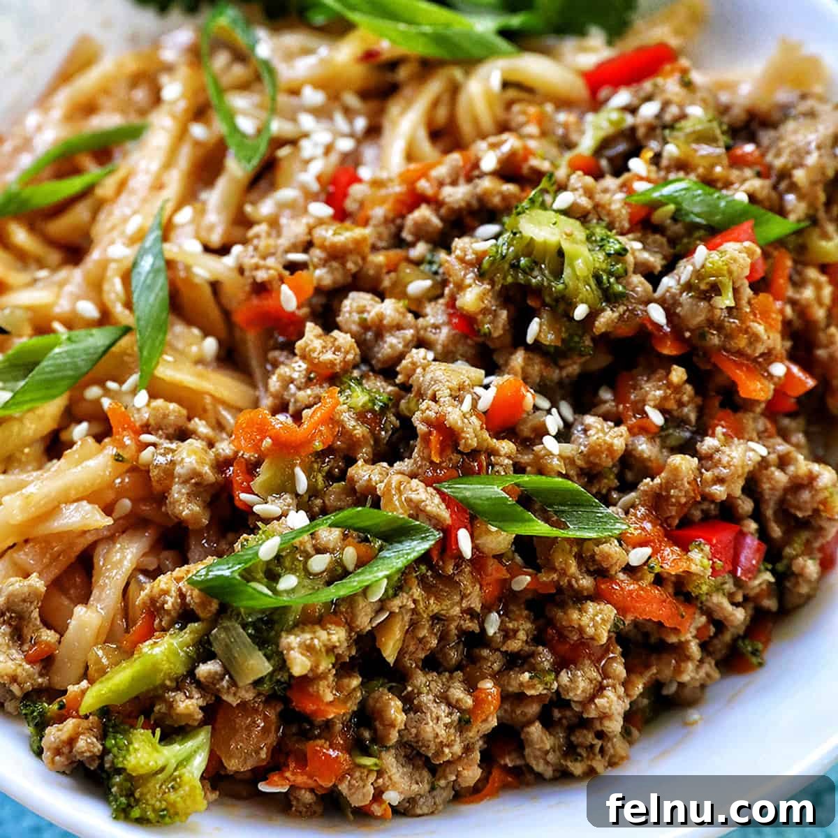 Ground Turkey Teriyaki