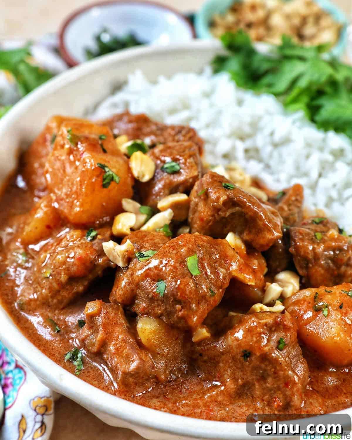 Slow Cooker Massaman Beef Curry 2 Slow cooker beef massaman curry served with rice in a bowl, showcasing its delicious texture and rich colors.