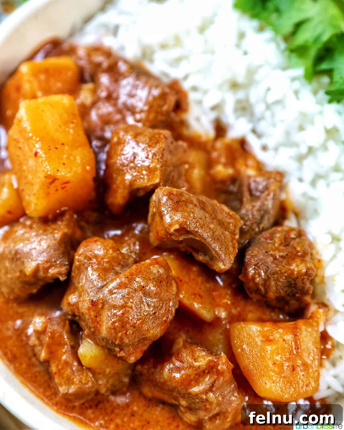 Slow Cooker Massaman Beef Curry 14 Close-up of slow cooker beef massaman curry served with rice in a bowl, showcasing the tender beef, creamy sauce, and aromatic spices.