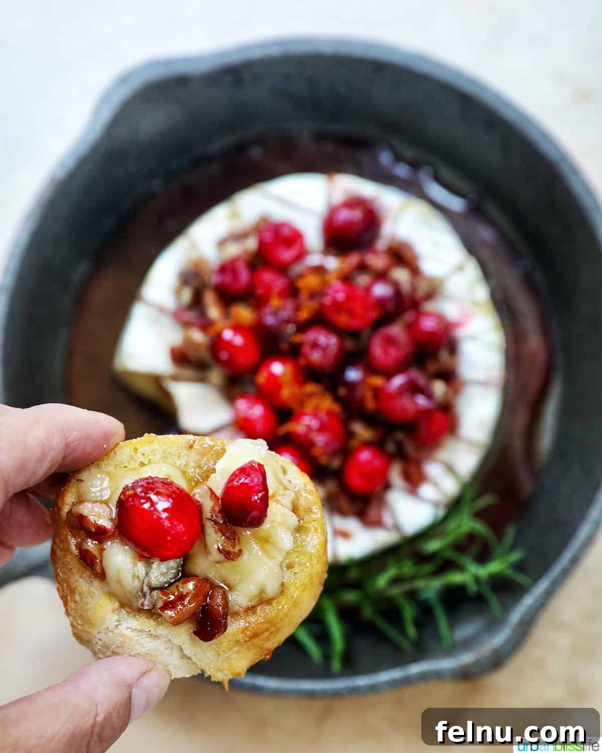 Cranberry and Pecan Crusted Brie 13 Holding crostini bread next to Cranberry Pecan Baked Brie in a skillet.