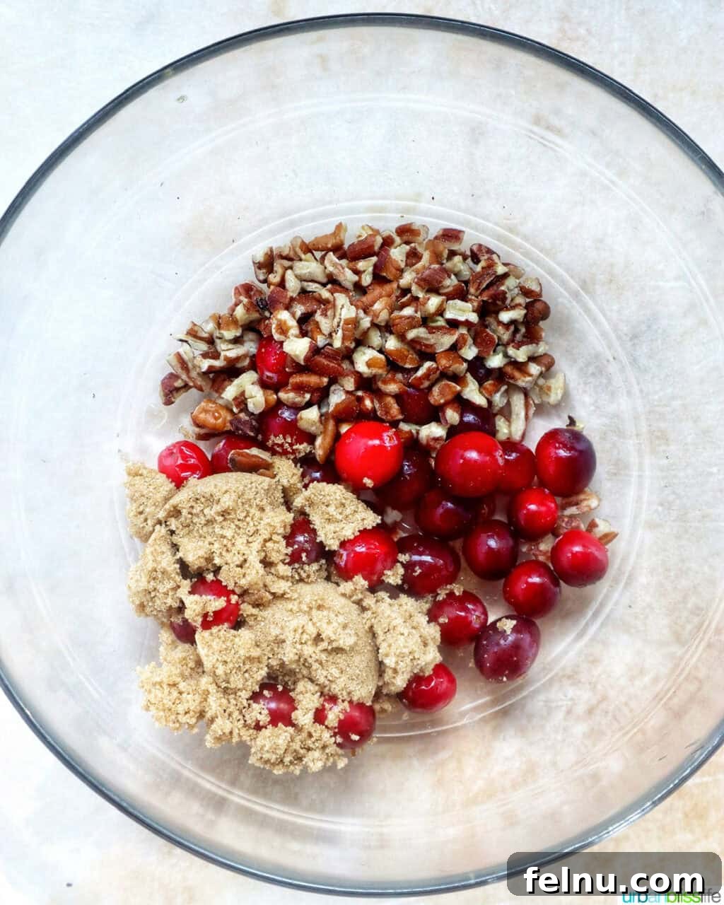 Cranberry and Pecan Crusted Brie 6 Bowl with cranberries, brown sugar, and pecans.