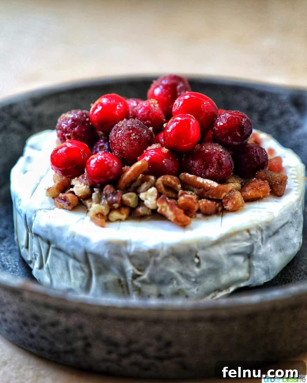 Cranberry and Pecan Crusted Brie 9 Cranberry Pecan Baked Brie in a bowl.