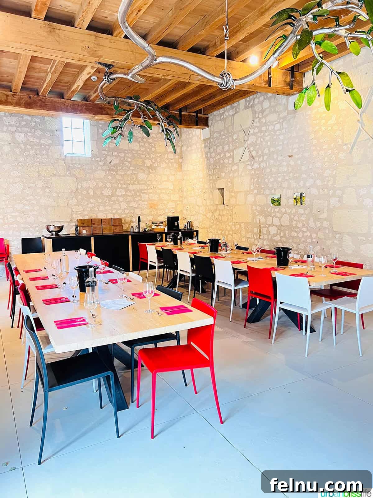 Chateau de Miniere Tasting Room: The inviting interior of the tasting room, showcasing the ambiance and selection of wines.