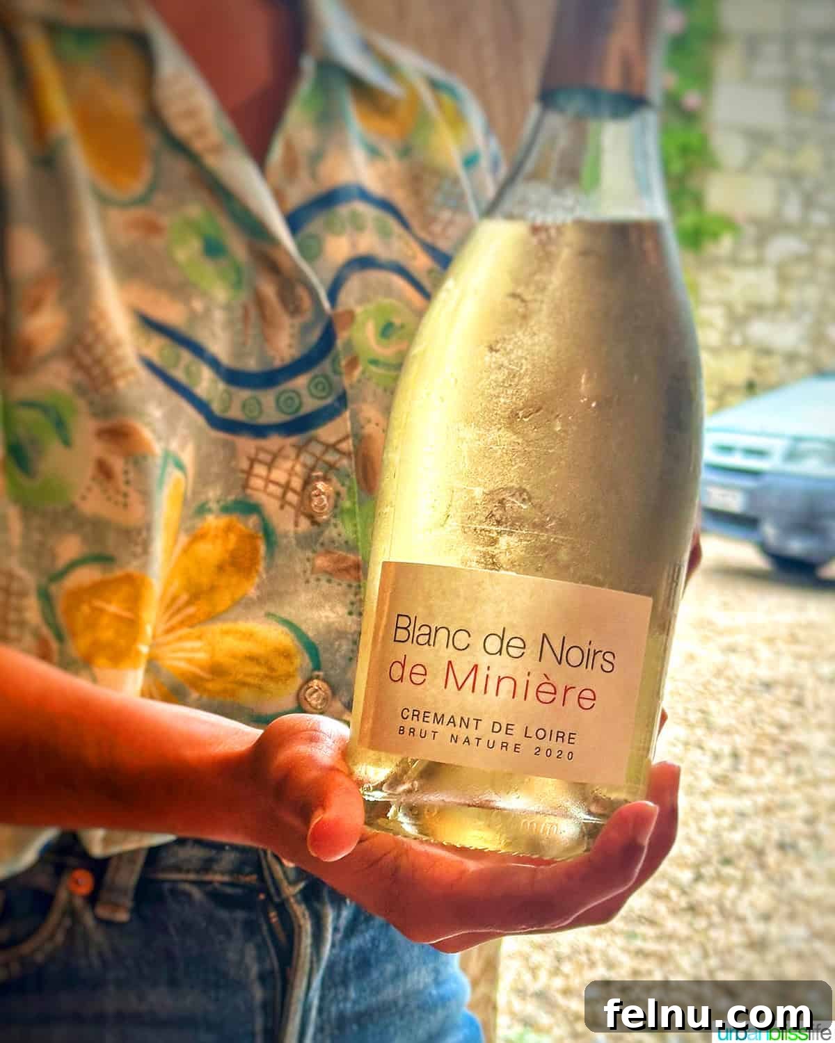 Chateau de Miniere Blanc de Noirs: A close-up view of the sparkling wine, capturing its effervescence and golden hue.