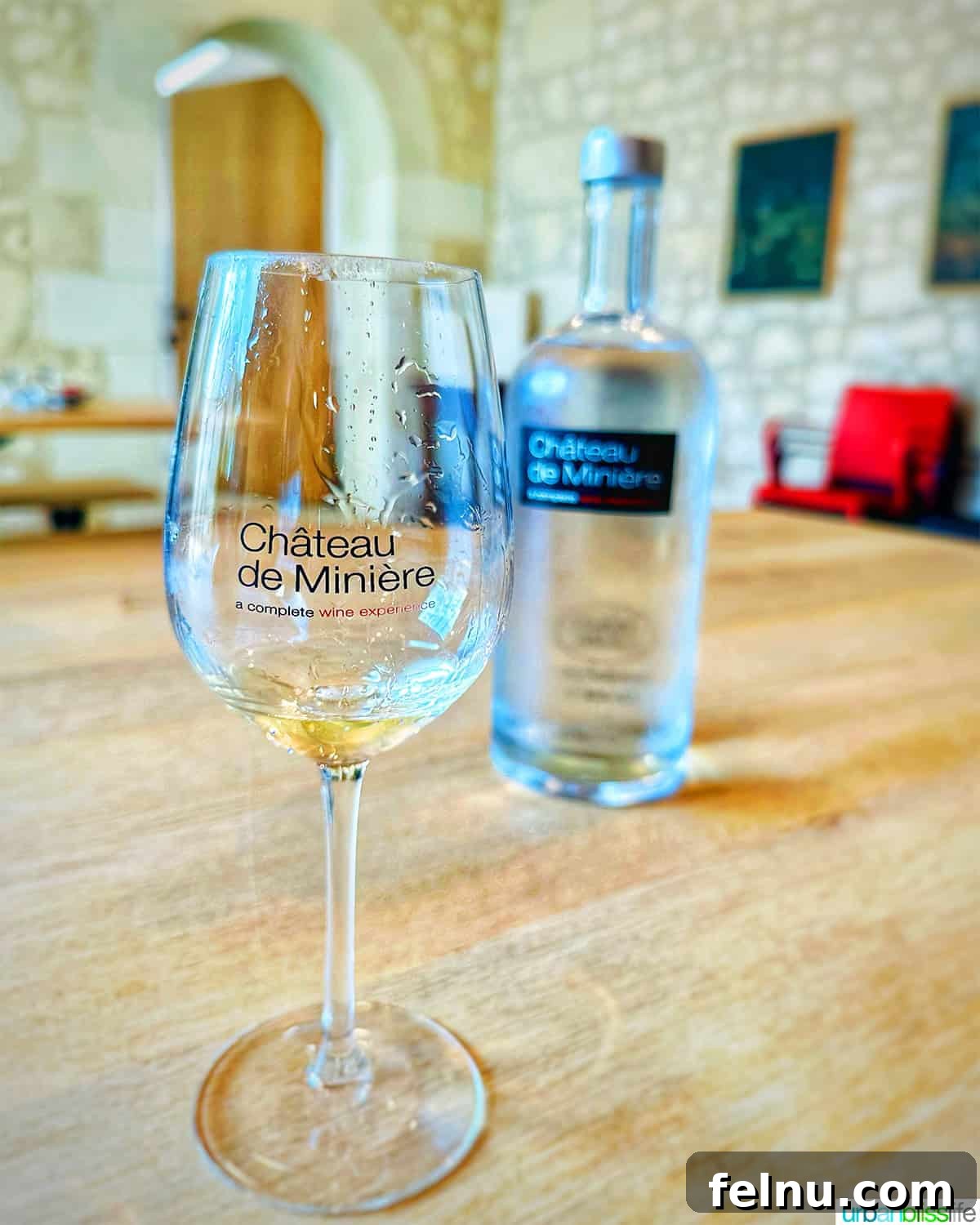 Chateau de Miniere Wine Glass: A glass of wine from the chateau, showcasing the rich color and inviting aroma.