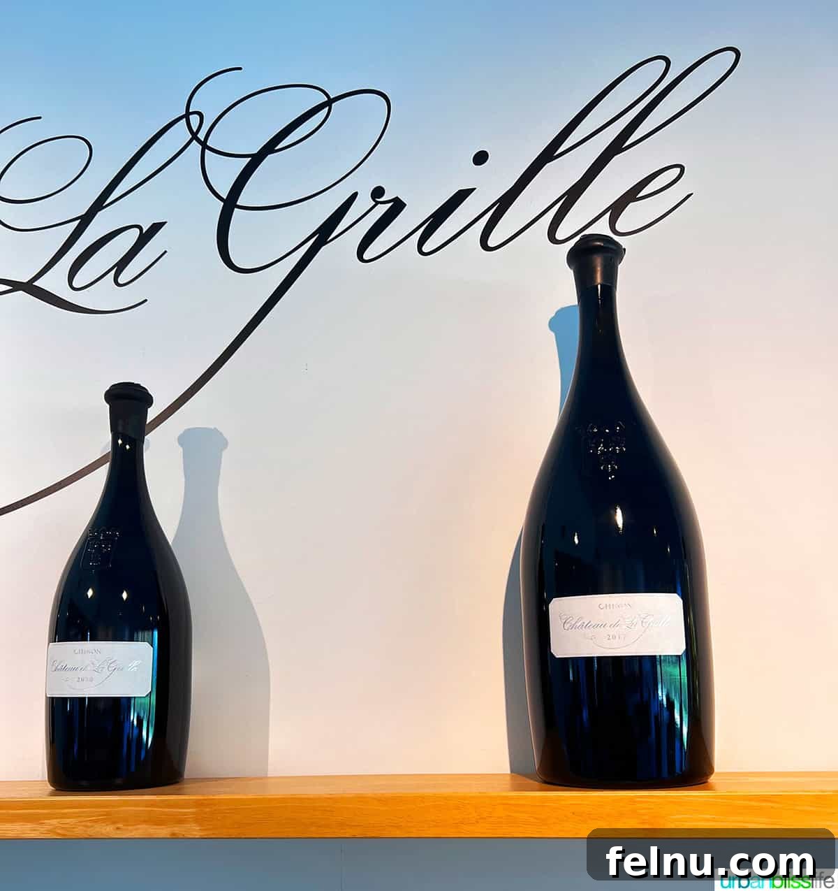 Uncorking the Elegance of Chateau de la Grille 7 A bottle of Château de la Grille's signature Red Chinon wine, presented elegantly, reflecting its premium quality and historic charm.