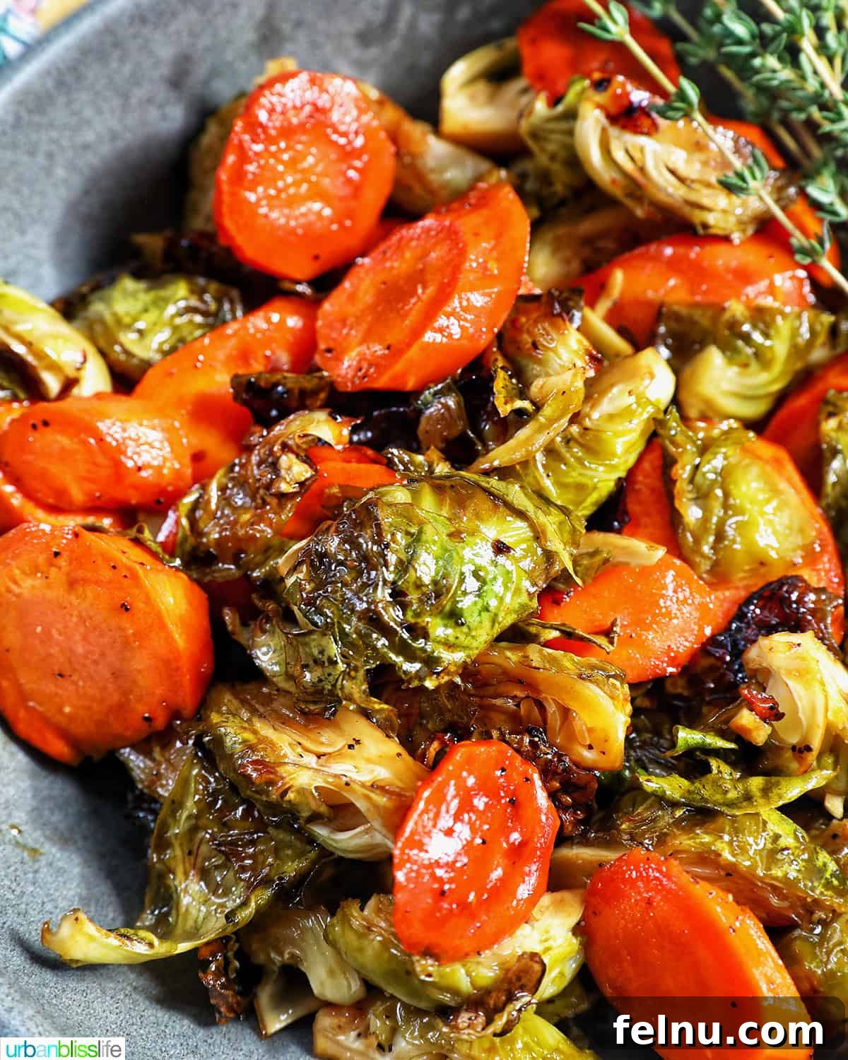 Roasted Brussels Sprouts with Maple-Glazed Carrots 2 Roasted Brussels sprouts and carrot slices arranged beautifully in a bowl.