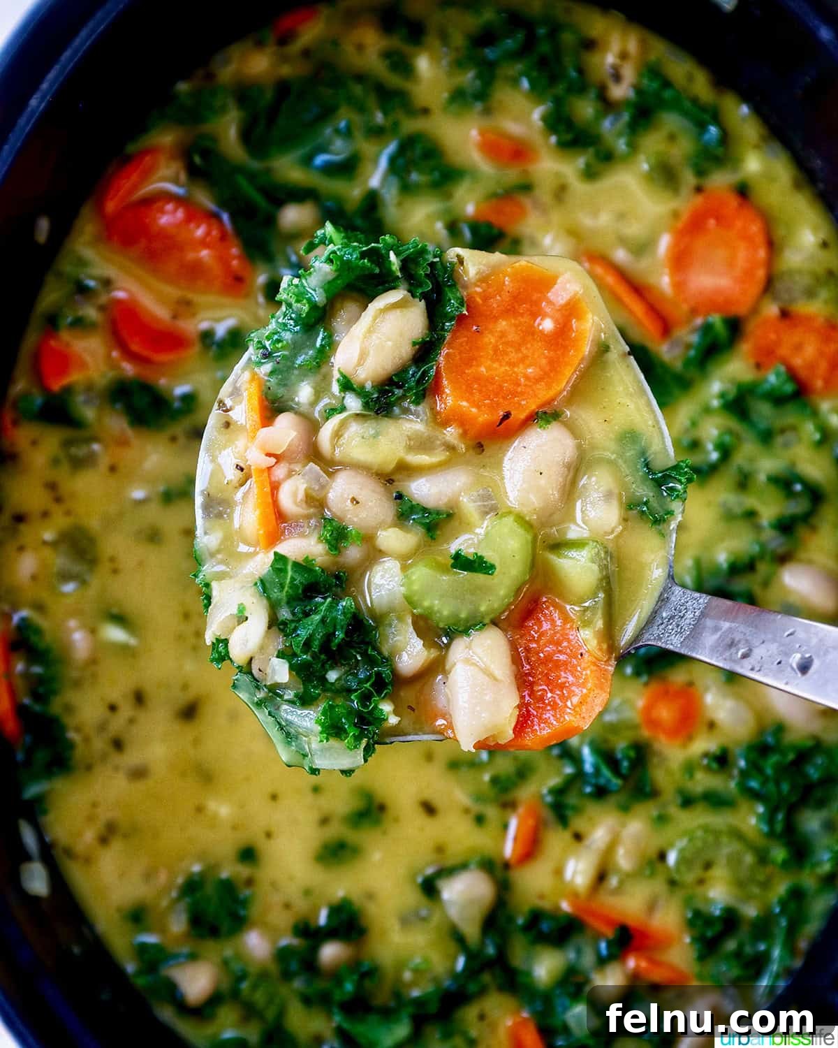 Tuscan Kale and White Bean Soup: A Hearty Italian Classic 20 Ladle of Tuscan kale and white bean soup