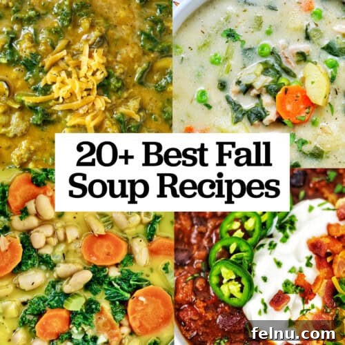 Tuscan Kale and White Bean Soup: A Hearty Italian Classic 26 Fall Soup Recipes