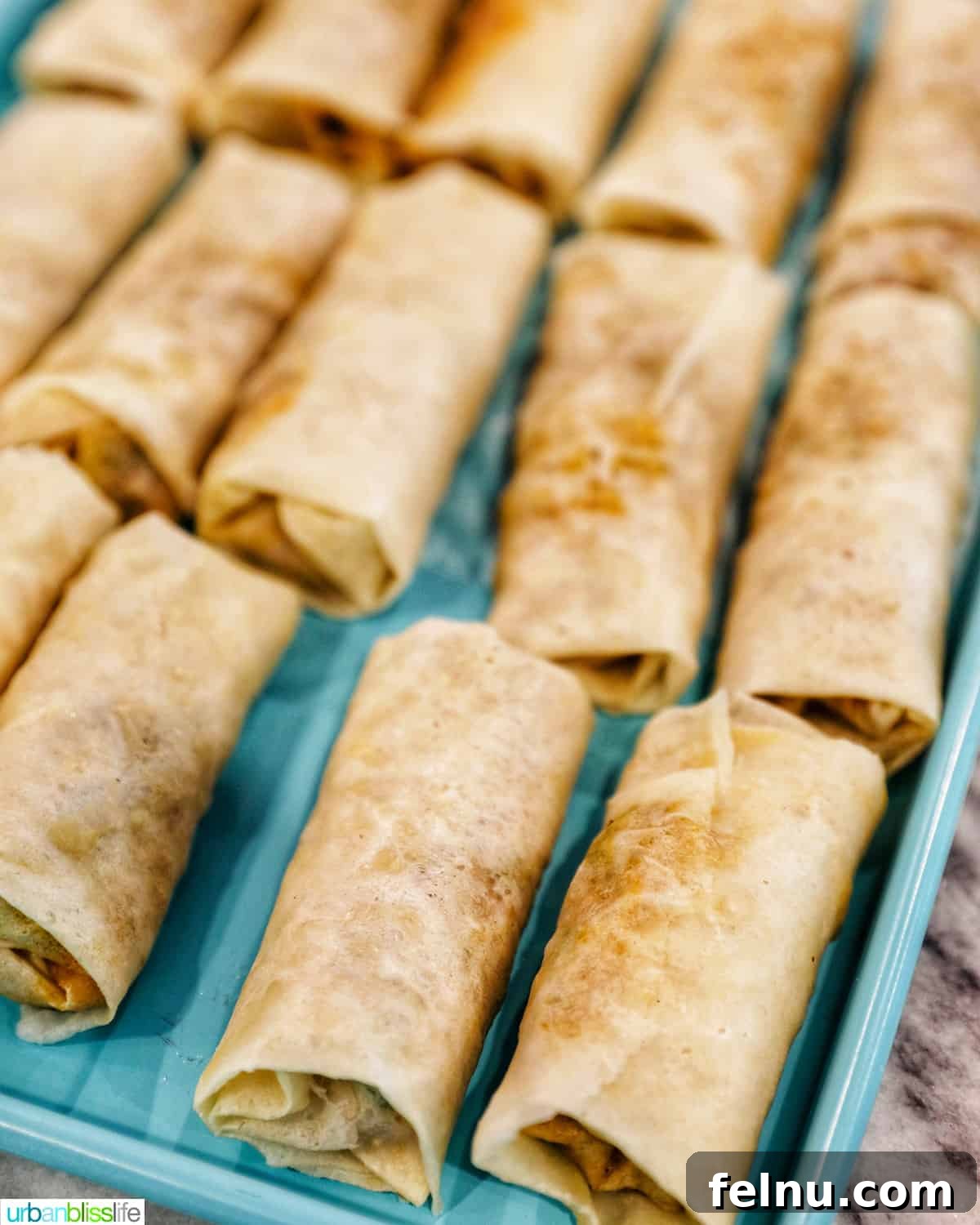 Several neatly rolled, uncooked Filipino lumpia arranged on a blue tray, ready for frying or freezing.