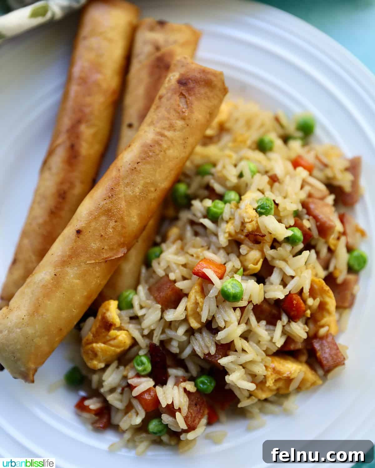 Filipino lumpia served alongside a bowl of flavorful spam fried rice, a perfect pairing.