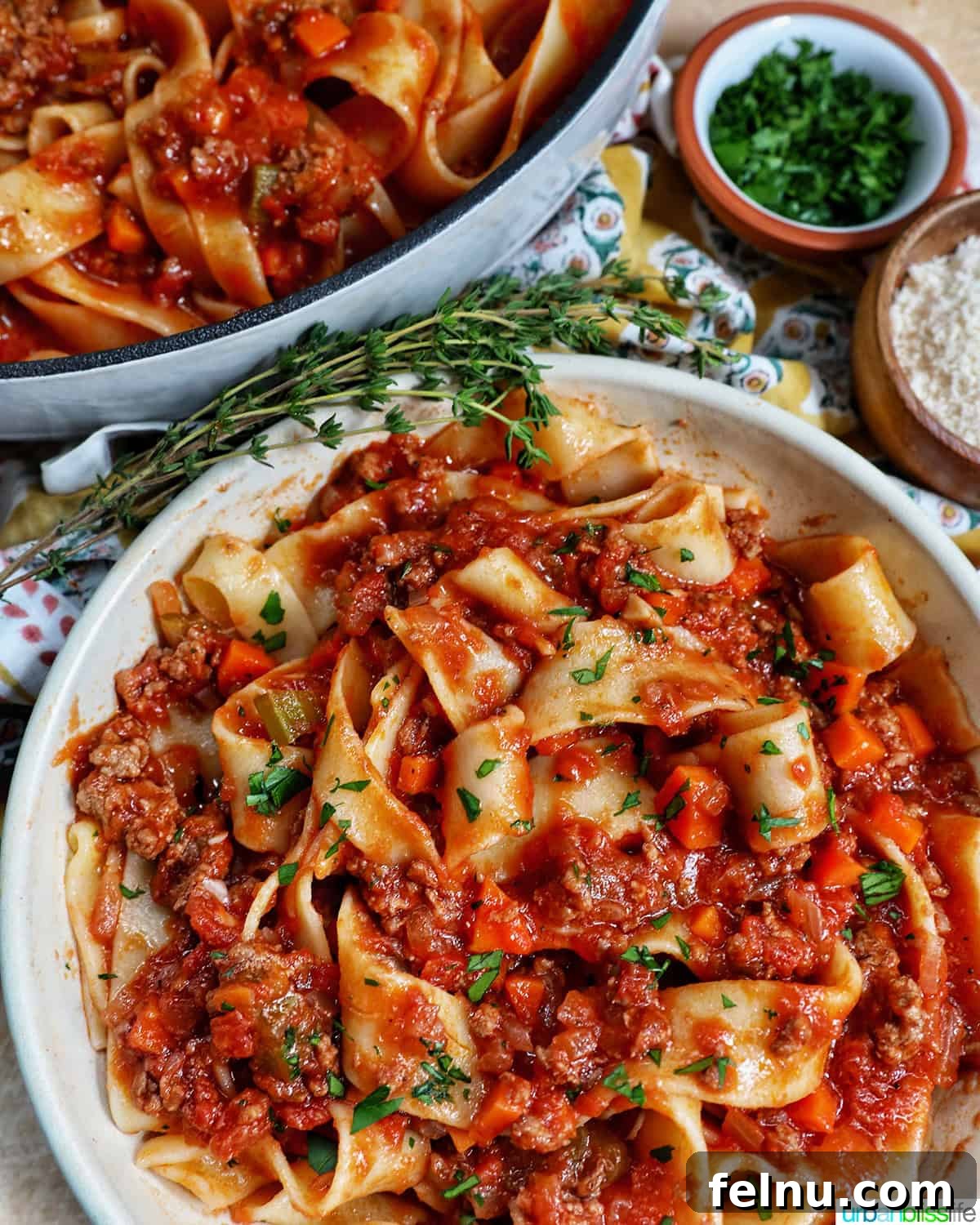 Bowl of Lamb Ragu Pappardelle with chopped parsley