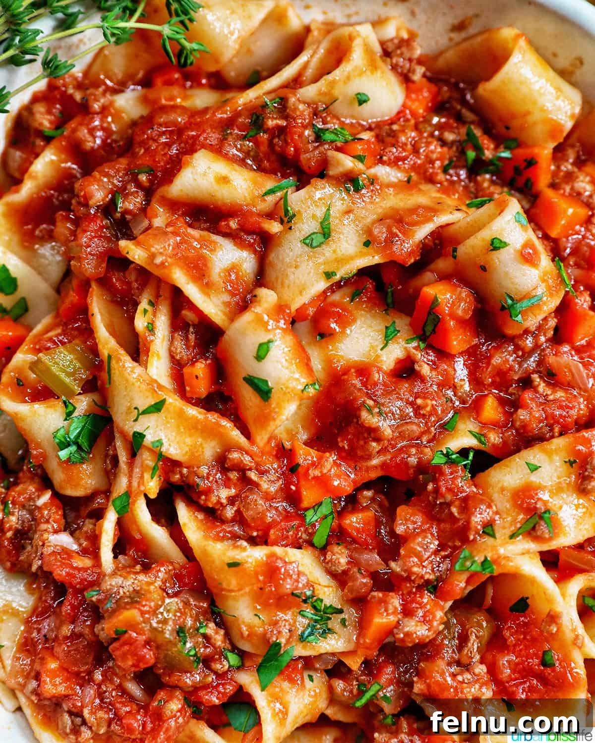 Lamb Ragu Pappardelle garnished with parsley