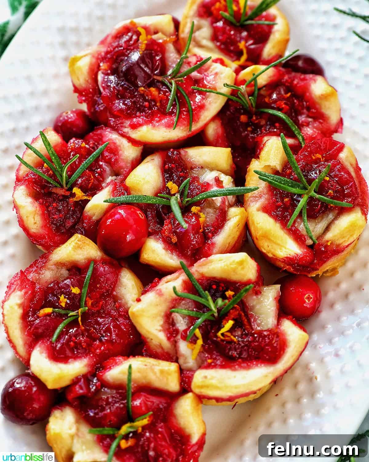 Cranberry brie tartlet appetizers on a plate