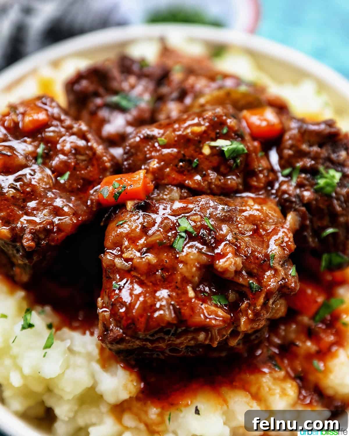beer braised short ribs over mashed potatoes.