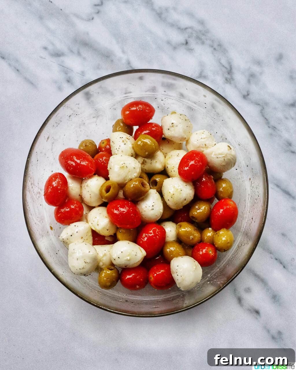 Bowl with tomatoes, mozzarella balls, and olives