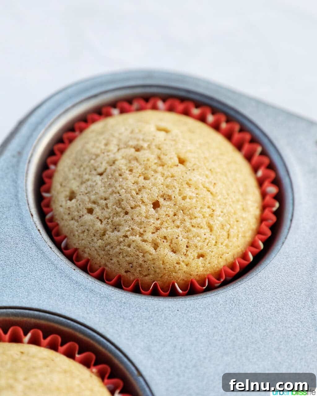 Cinnamon Swirl Delights 13 Single baked cupcake.