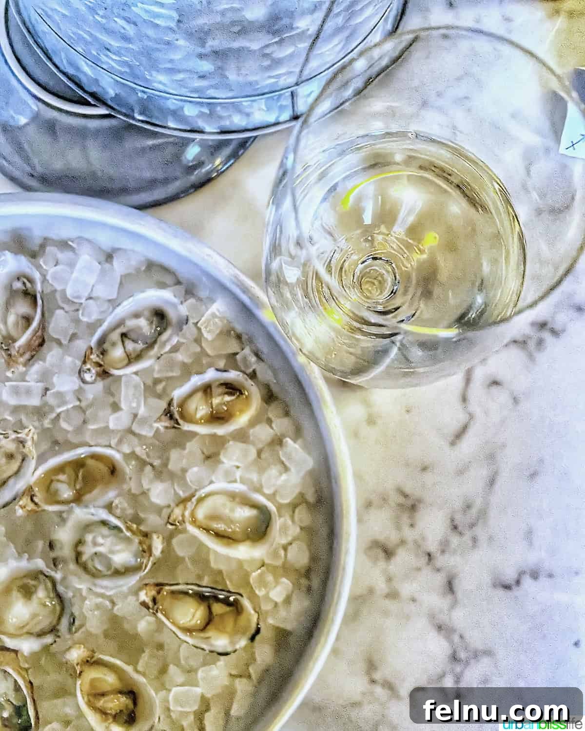 Elevate Your Oysters The Perfect Wine Pairings 2 Fresh oysters on a bed of ice next to a perfectly chilled glass of white wine.