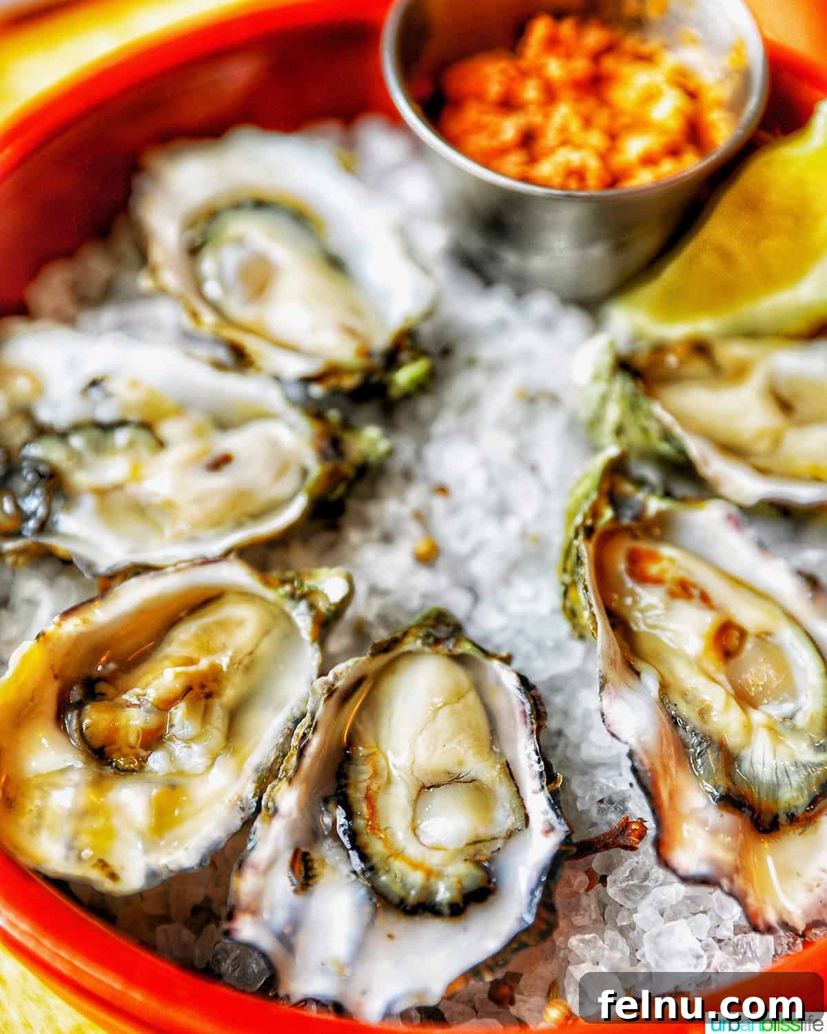 Elevate Your Oysters The Perfect Wine Pairings 5 An array of fresh oysters nestled in a colorful ceramic bowl on a bed of ice.