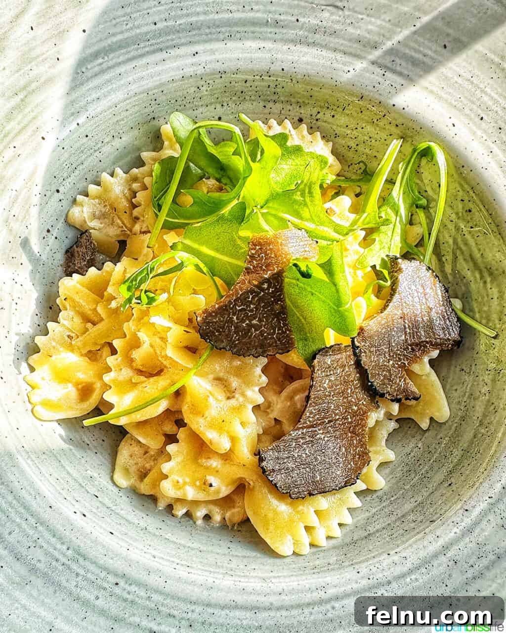AmaWaterways: A Gastronomic Journey on Europe's Rivers 15 AmaWaterways River Cruise Truffle Pasta