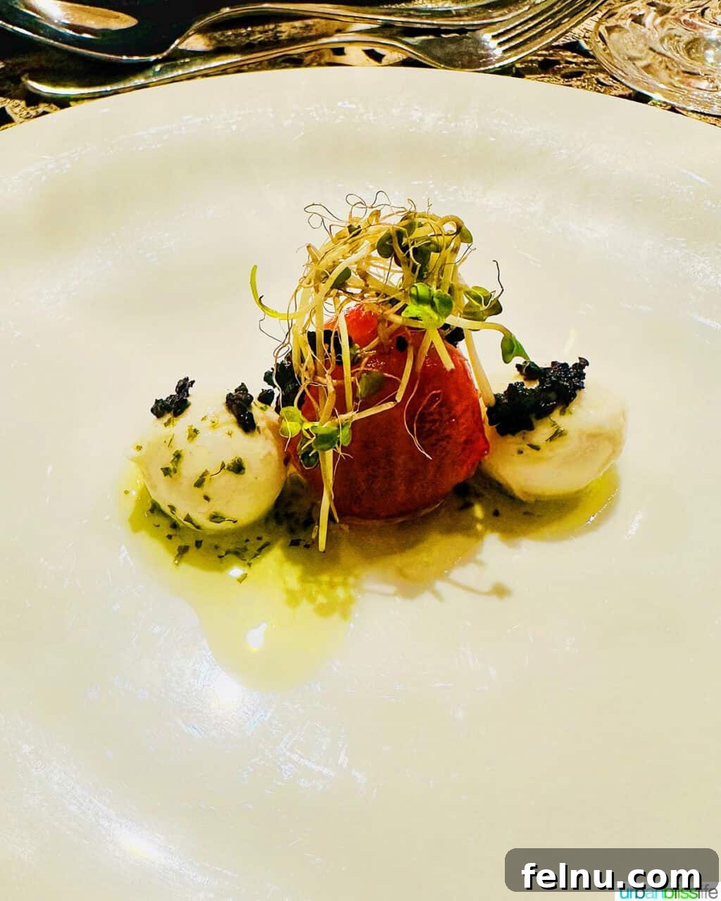 AmaWaterways: A Gastronomic Journey on Europe's Rivers 27 AmaWaterways River Cruise Chef's Table Appetizer