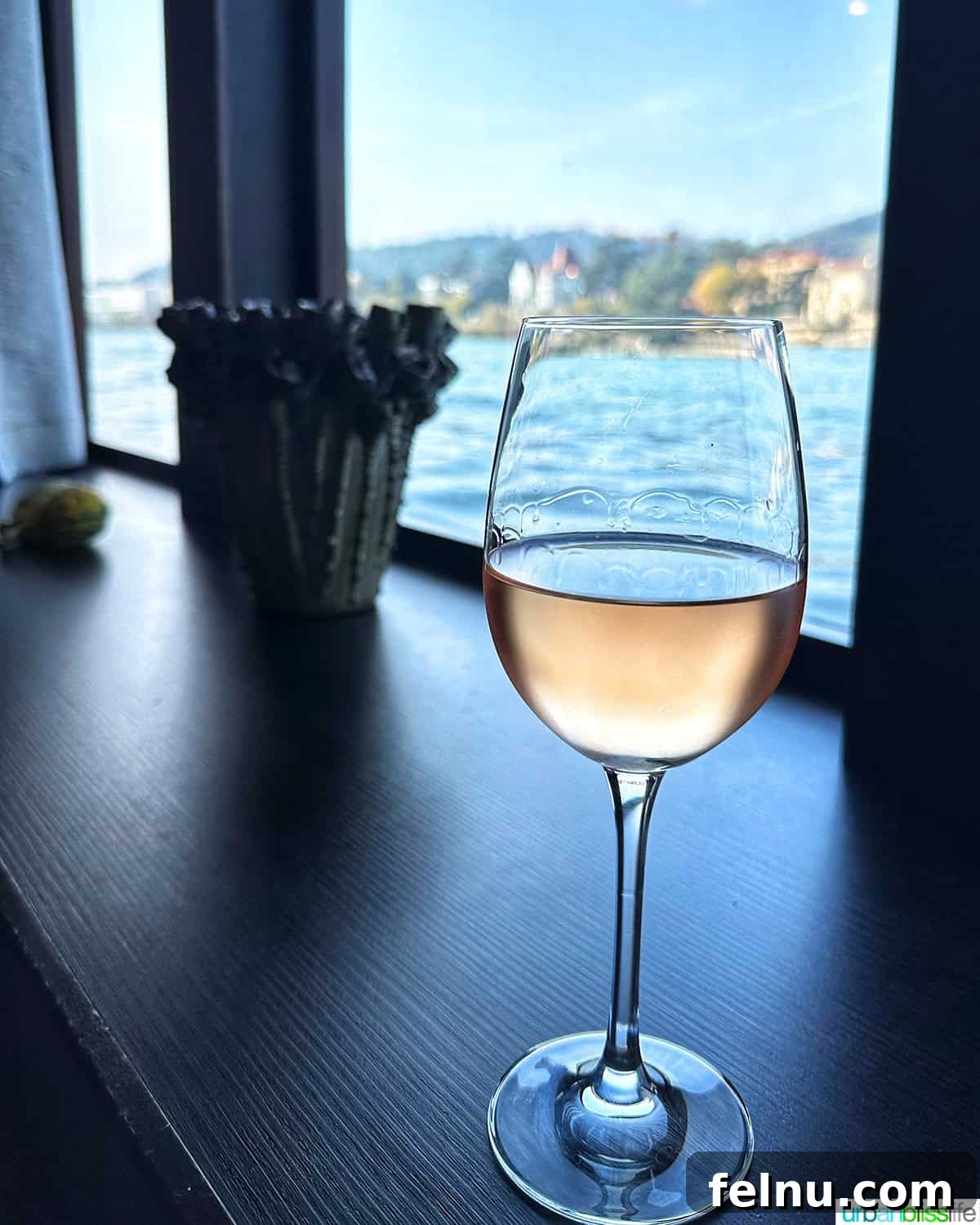 AmaWaterways: A Gastronomic Journey on Europe's Rivers 36 AmaWaterways River Cruise Rose Wine