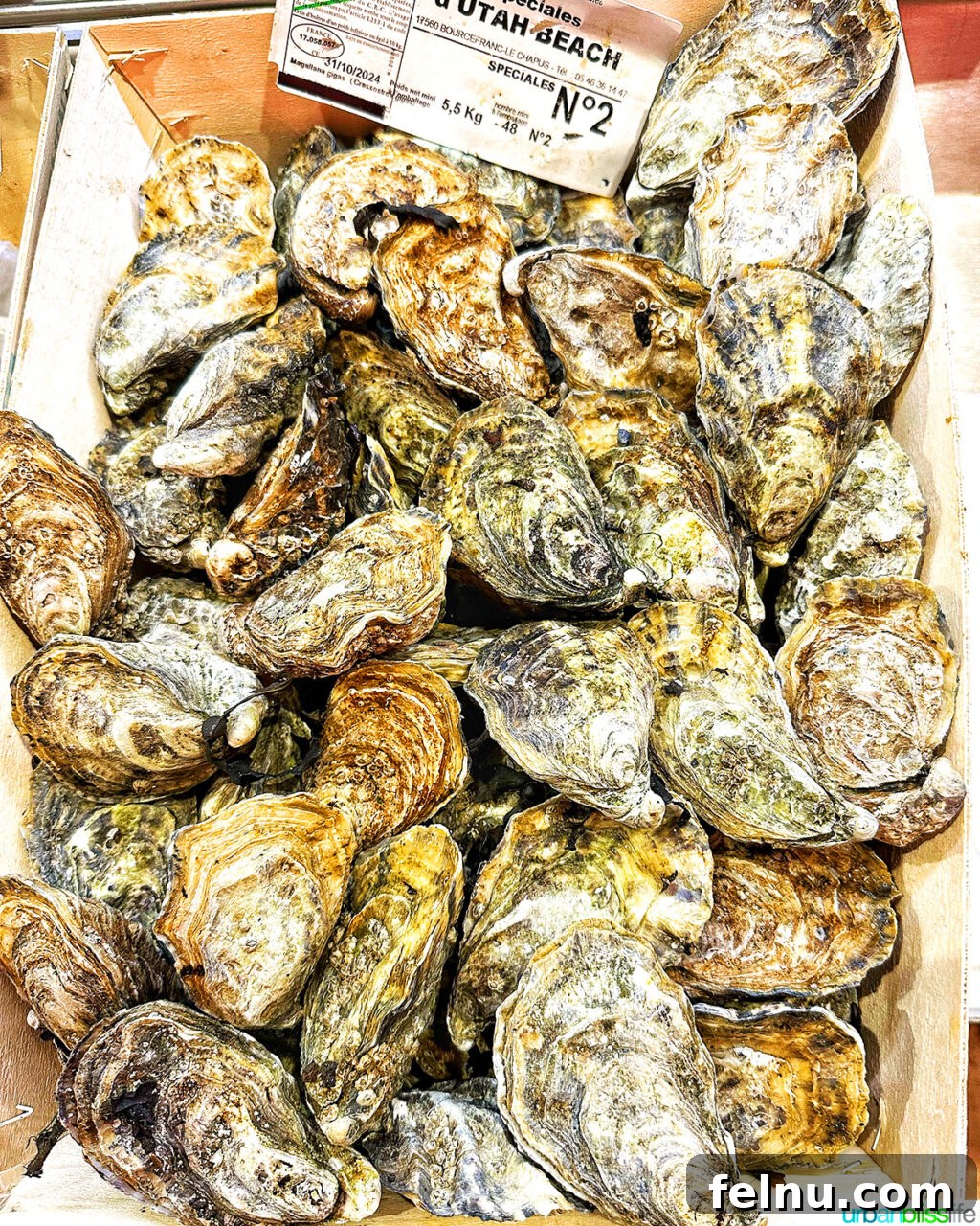 Paul Bocuse Lyon Food Hall 14 oysters at Les Halles food market in Lyon