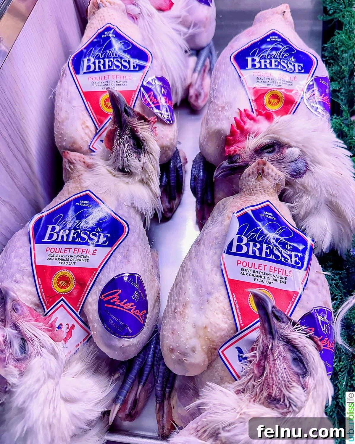 Paul Bocuse Lyon Food Hall 6 brest chickens at Les Halles in Lyon