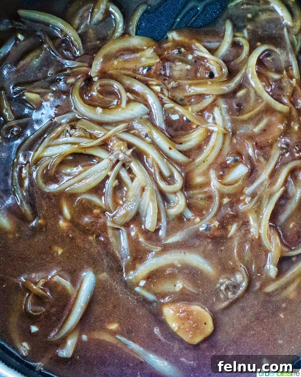 Savory Beef and Onion Skillet 13 Sliced onions and stir fry sauce