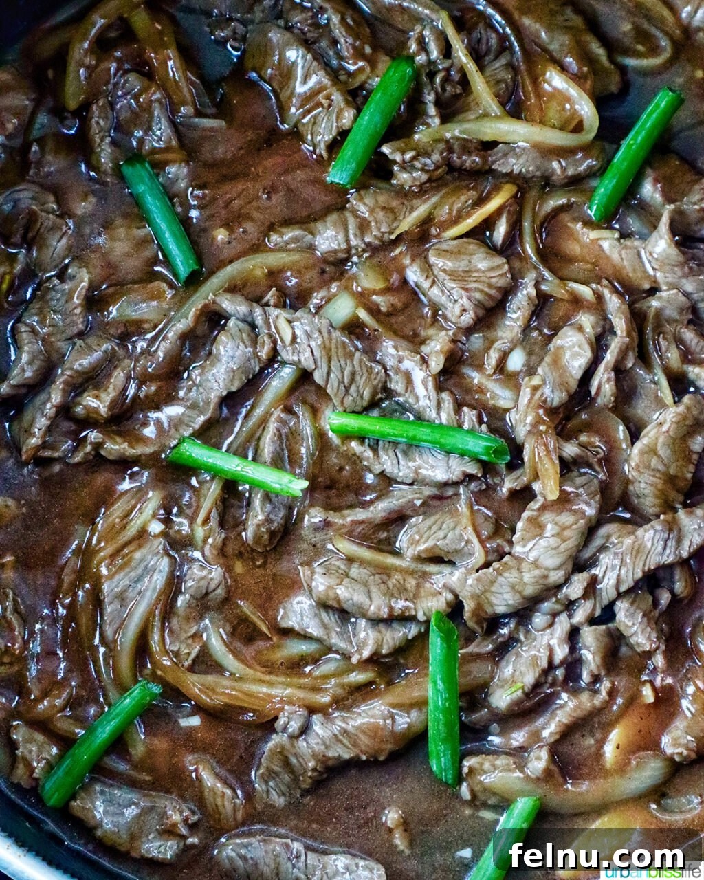 Savory Beef and Onion Skillet 16 Finished Beef and Onion Stir Fry