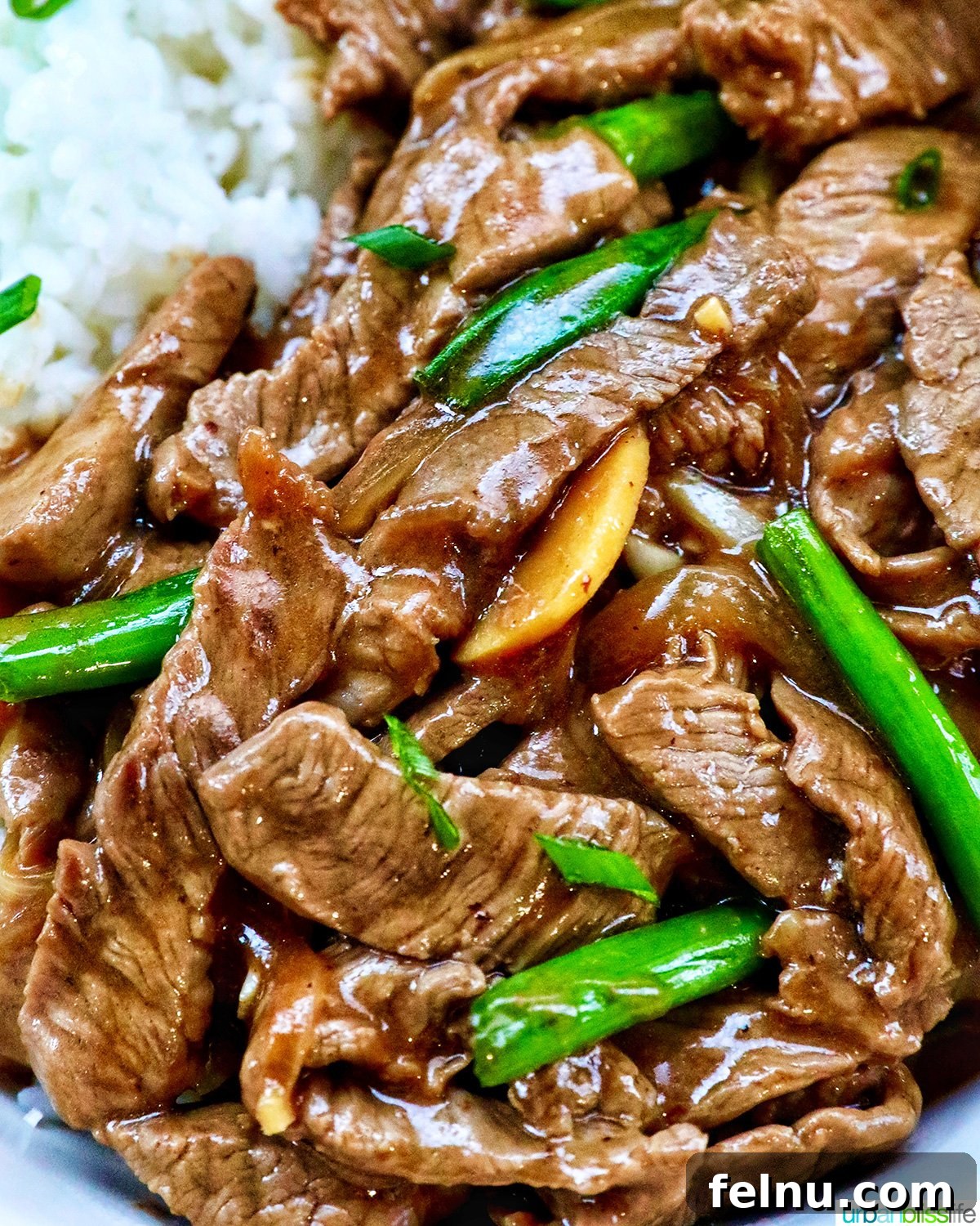Savory Beef and Onion Skillet 17 Bowl of Beef and Onion Stir Fry served over rice