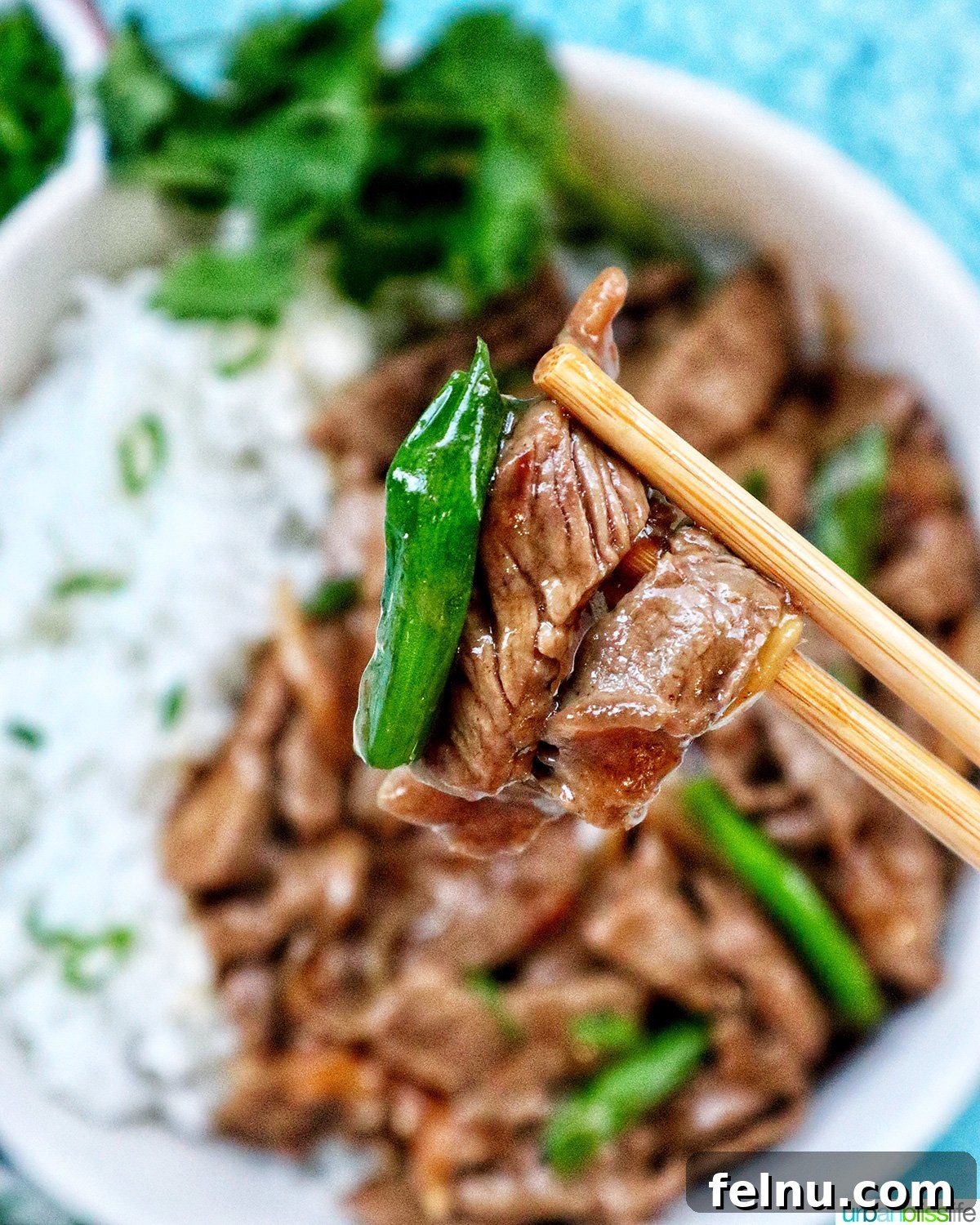 Savory Beef and Onion Skillet 18 Beef and Onion Stir Fry served with white rice and chopsticks