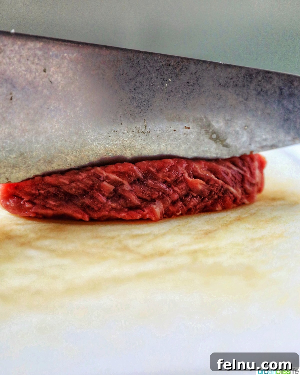 Savory Beef and Onion Skillet 19 Slicing beef on the bias