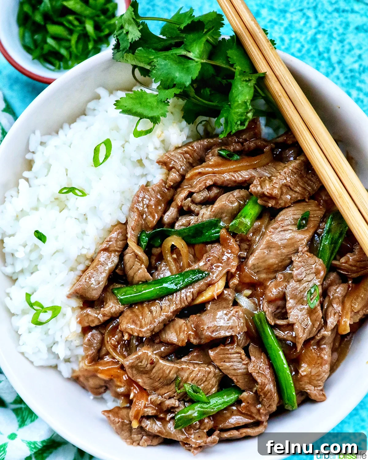 Savory Beef and Onion Skillet 3 Another angle of the Beef and Onion Stir Fry