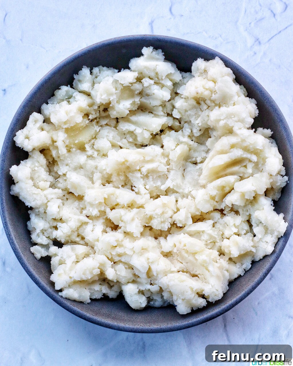 Hearty Spud Indulgence 11 A simple bowl filled with fluffy, mashed potatoes, ready for toppings.