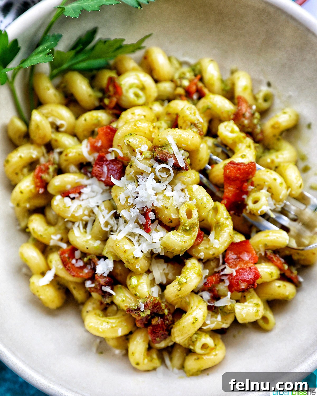 Bacon Pesto Pasta Delight 2 Bowl of bacon pesto pasta