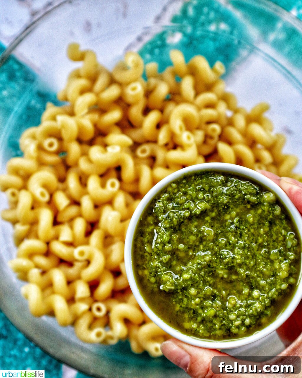 Bacon Pesto Pasta Delight 11 Adding pesto to cooked pasta