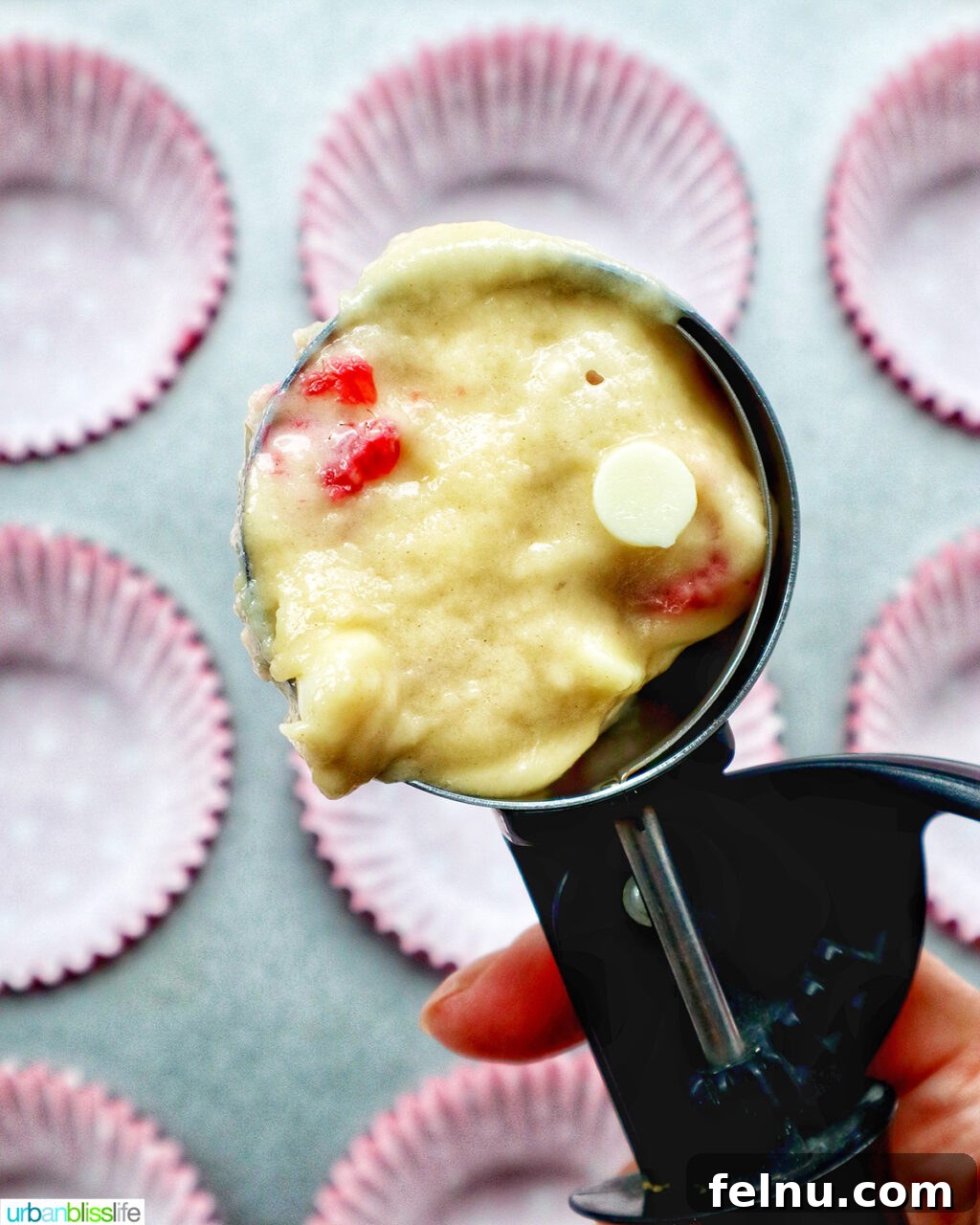 scoop of raspberry white chocolate chip muffin batter.