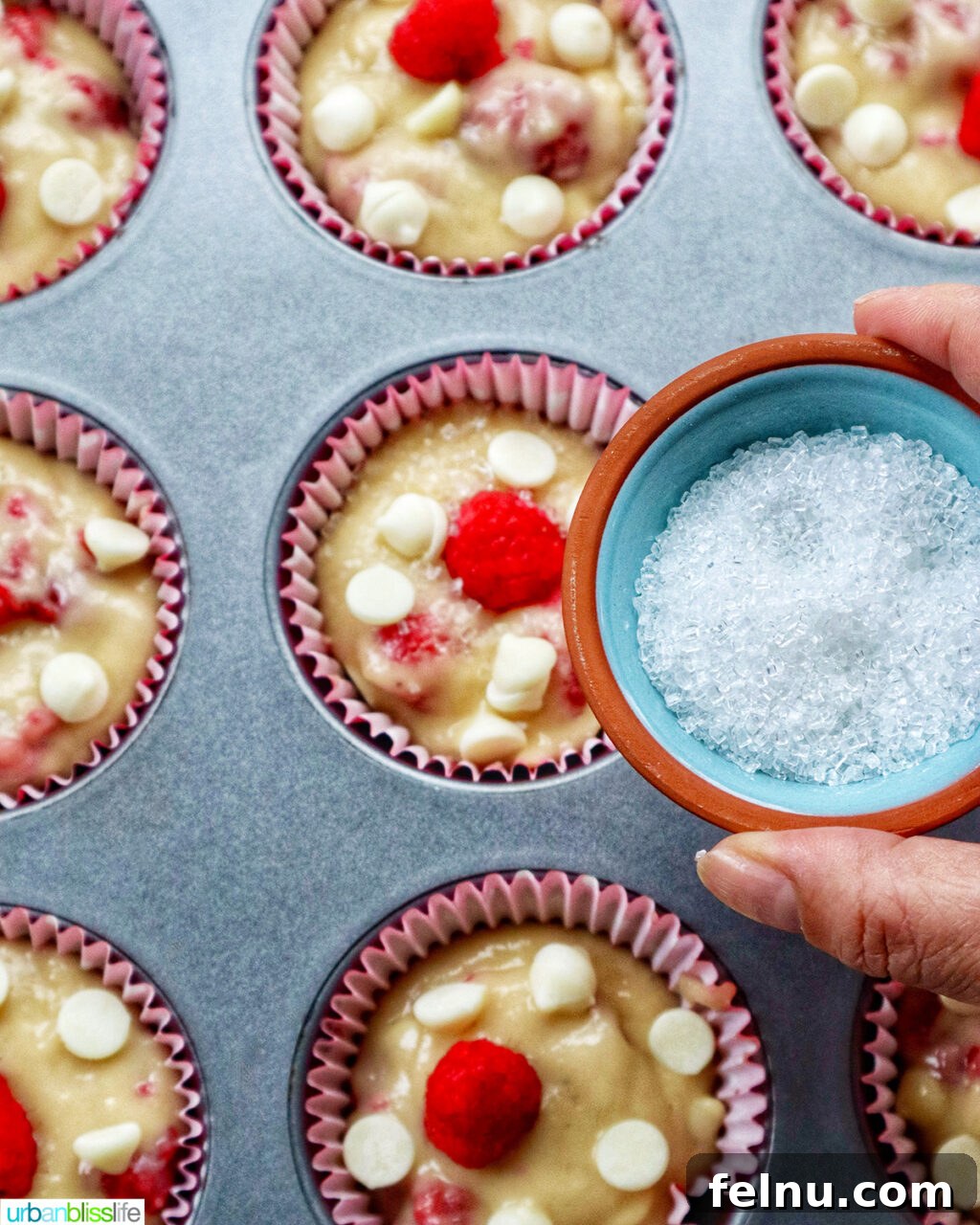 hand holding sugar over raspberry white chocolate chip muffins in a muffin pan.
