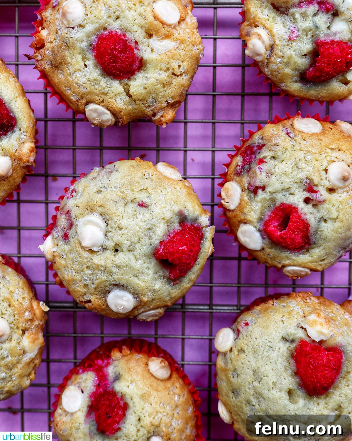 rows of raspberry white chocolate chip muffins on a wire rack.