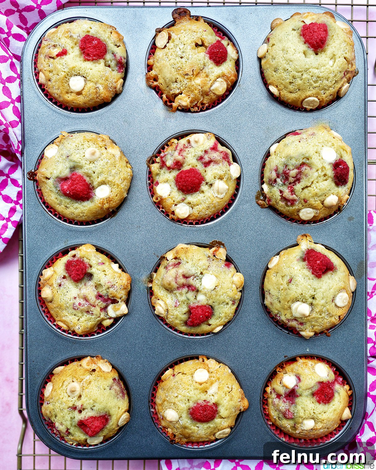 raspberry white chocolate chip muffins in a muffin pan.