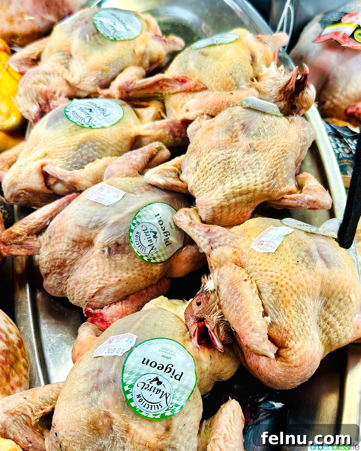 Fresh pigeon at Les Halles Avignon