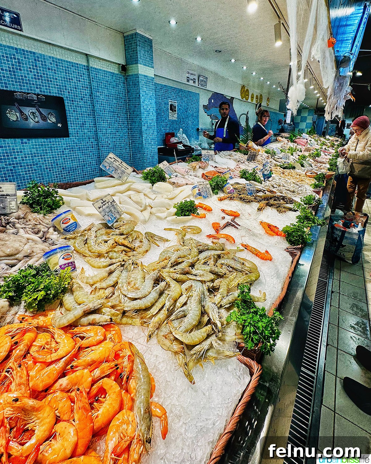 Seafood at Les Halles Avignon