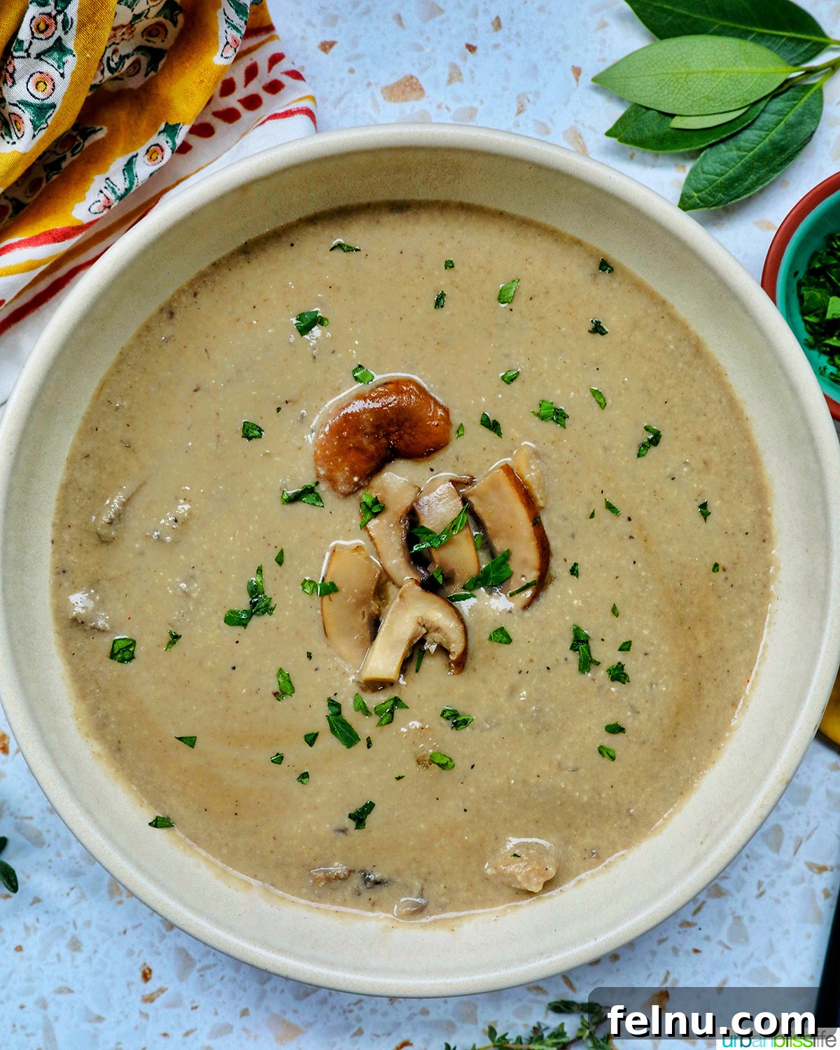 Creamy Vegan Mushroom Delight 2 bowl of dairy free mushroom soup, garnished with fresh herbs, viewed from above.