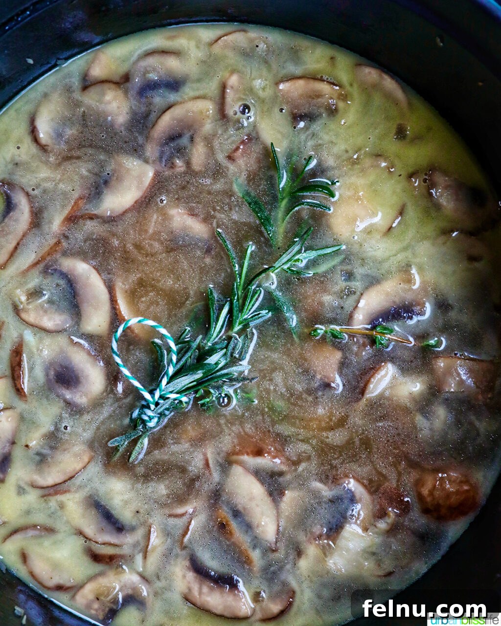 Creamy Vegan Mushroom Delight 13 A pot of mushroom soup gently simmering, covered.