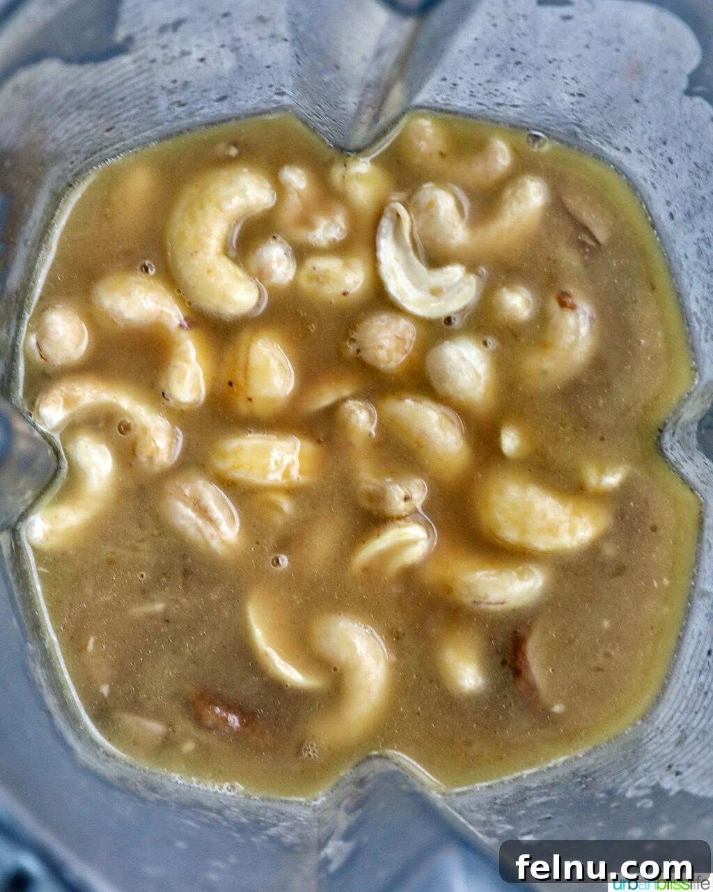 Creamy Vegan Mushroom Delight 16 Soaked cashews and mushroom soup mixture in a high-powered blender.