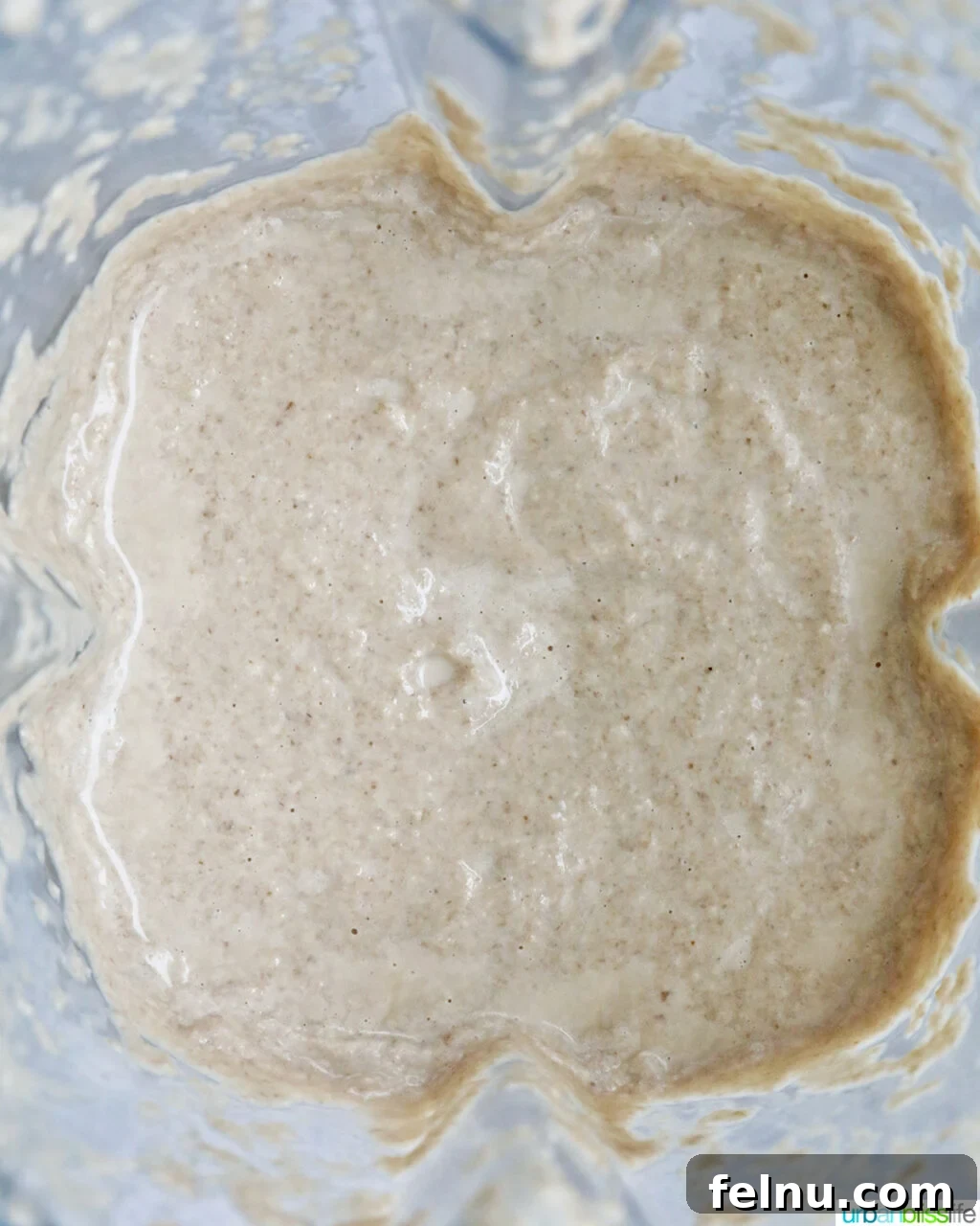 Creamy Vegan Mushroom Delight 17 Smooth, blended mushroom soup in a blender carafe.