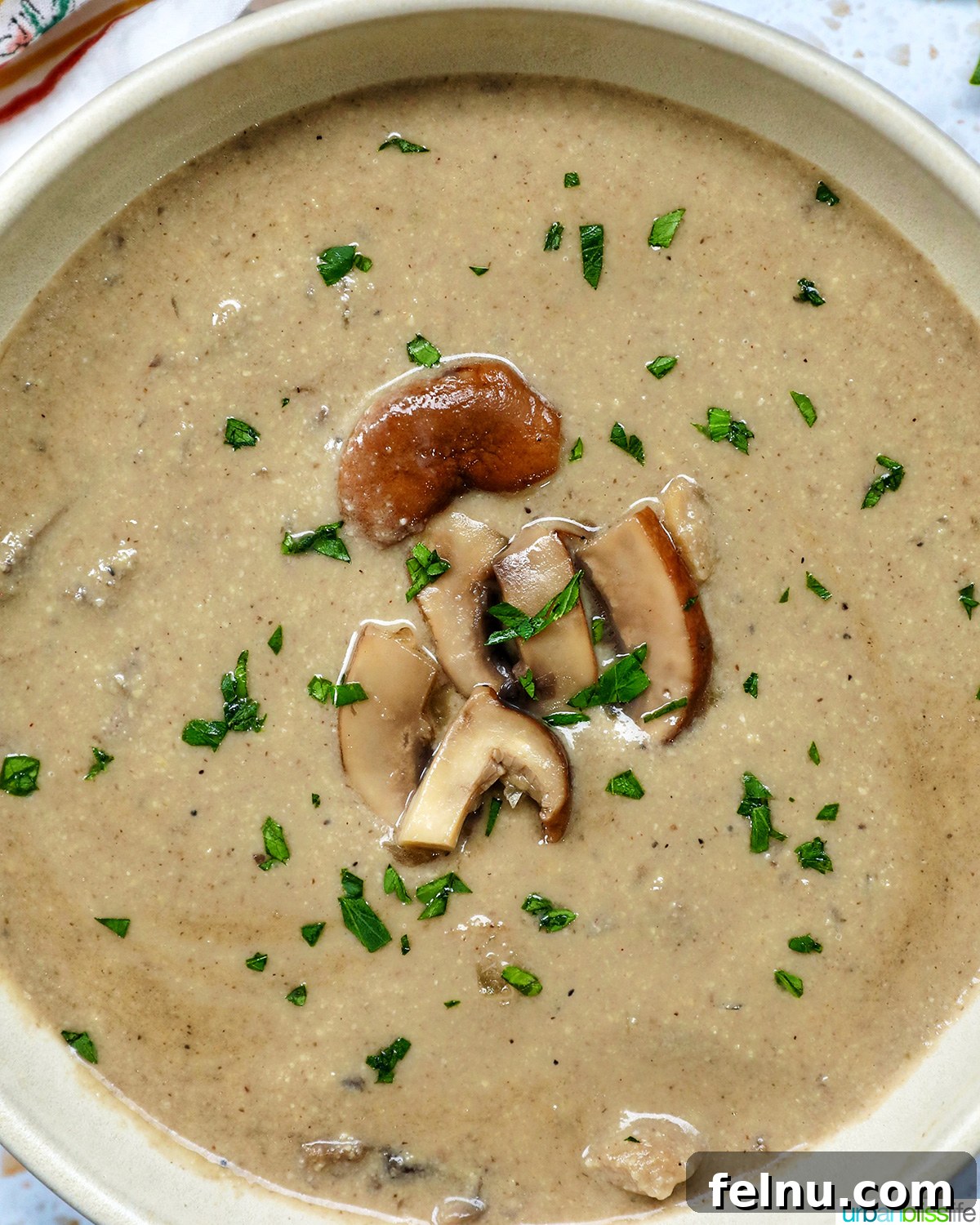 Creamy Vegan Mushroom Delight 20 A beautiful bowl of dairy-free mushroom soup, garnished and ready to eat, viewed from above.