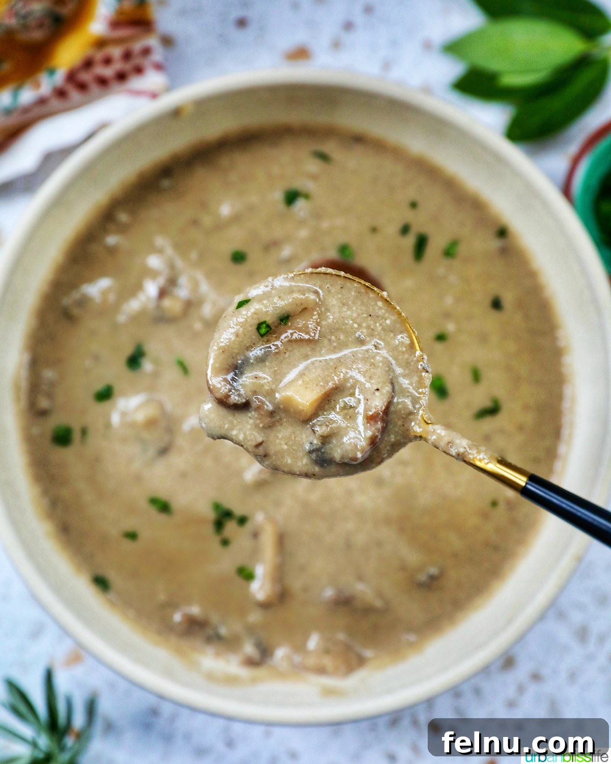 Creamy Vegan Mushroom Delight 3 bowl of dairy free mushroom soup with a spoon, highlighting its creamy texture.