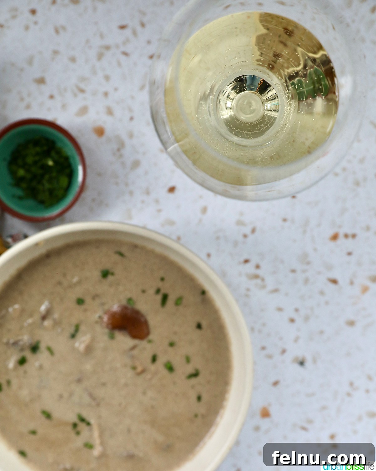 Creamy Vegan Mushroom Delight 22 A bowl of dairy-free mushroom soup served with a glass of crisp white wine.